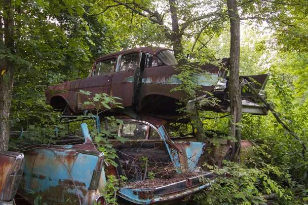 Scavenging and Gathering Workforce - Two Day Campout