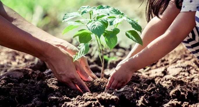 Soil and Planting Workforce - Two Day Campout