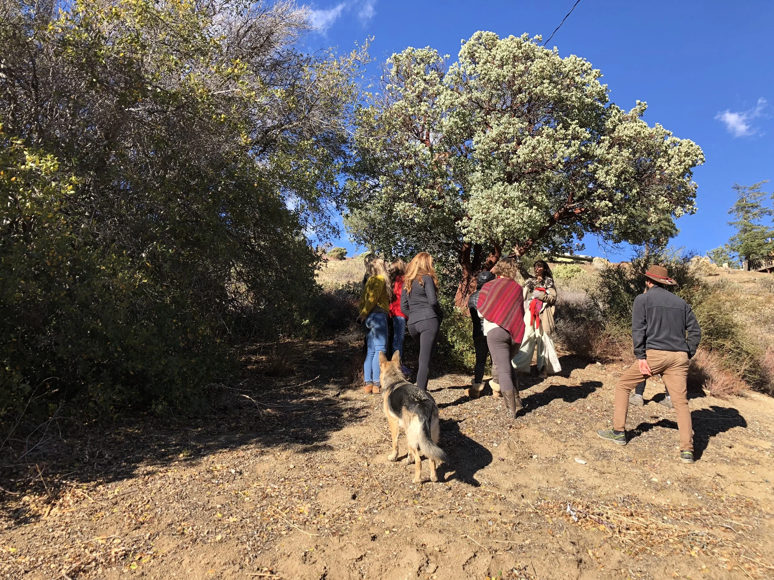 Earth Day Prep Workforce 1 - Two Day Campout