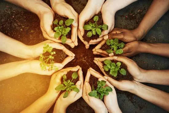 Nature Reconnection Garden Workshop - 2 day Campout