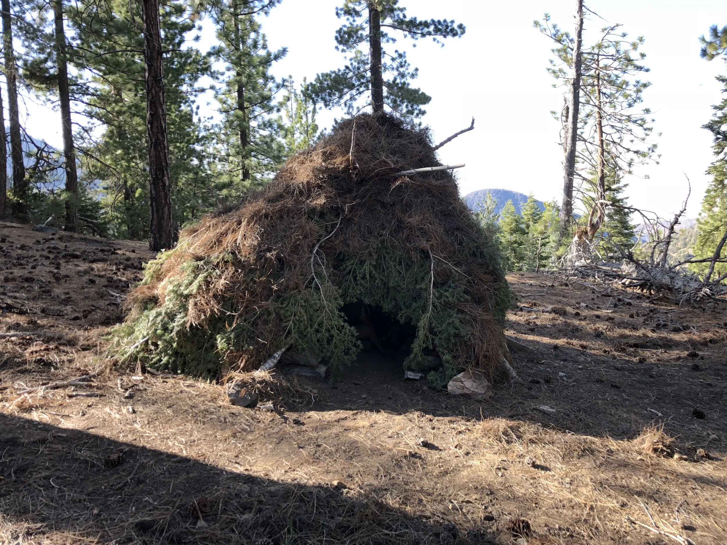 Shelter Building Workshop
