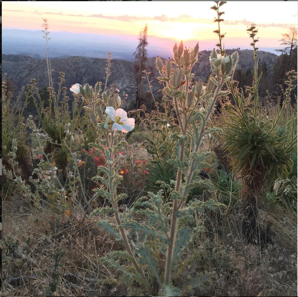 Scenic Hike
