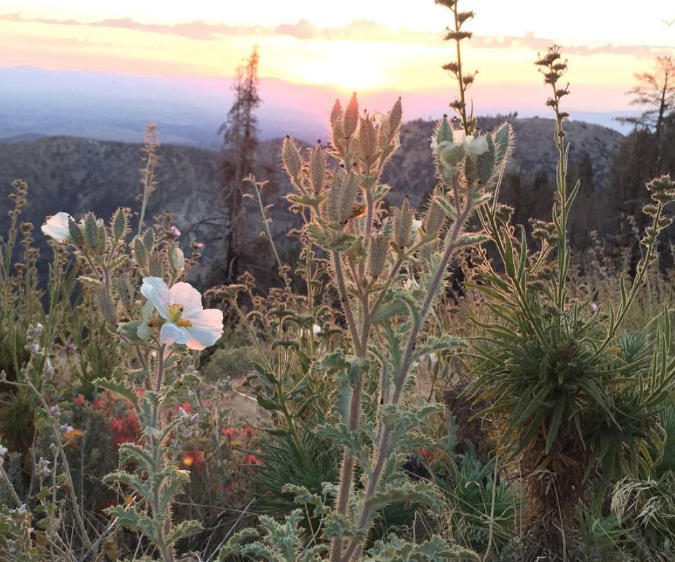 Scenic Hike