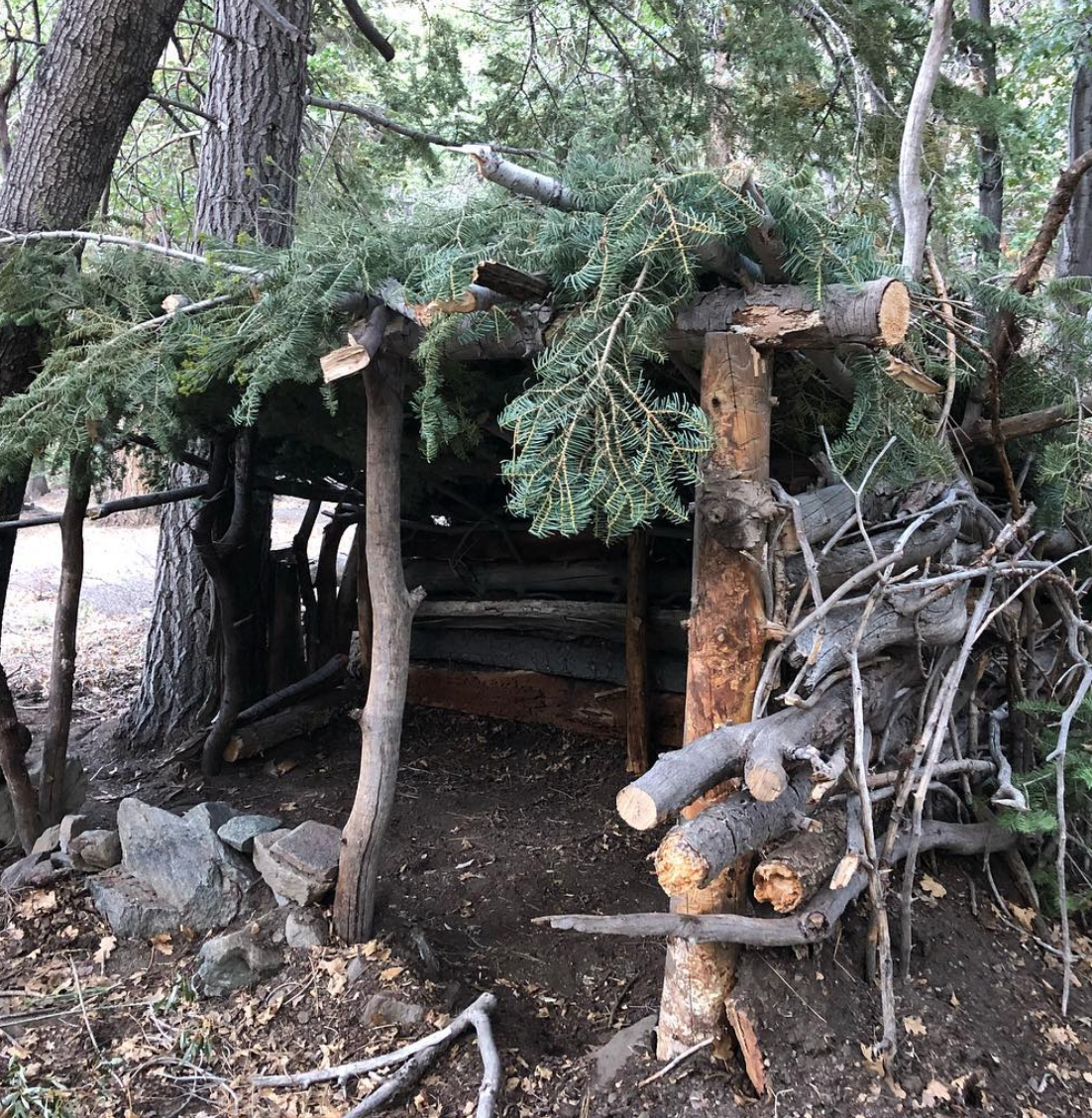 Shelter Building