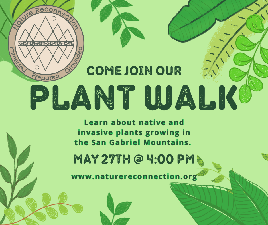 Plant Walk in the San Gabriel Mountains