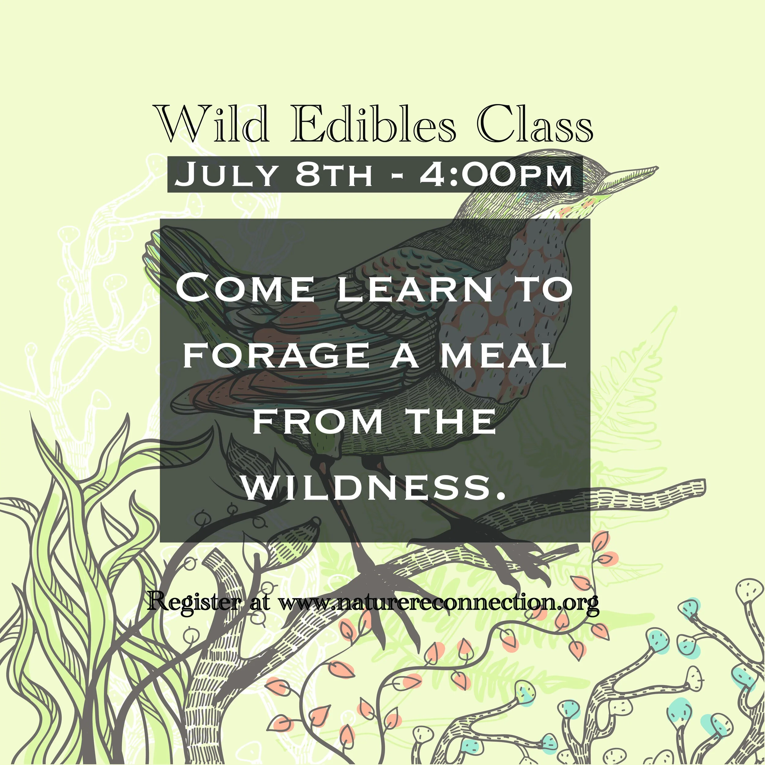 Wild Edibles Class