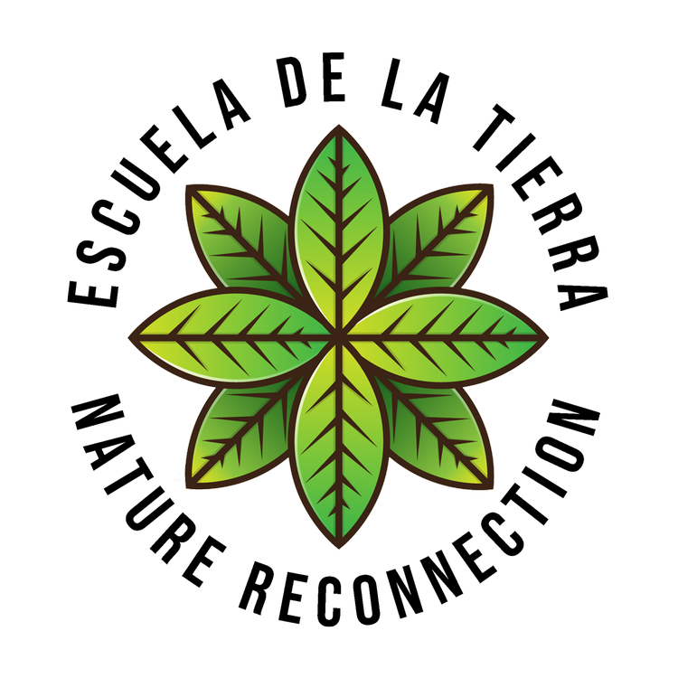 Earth School