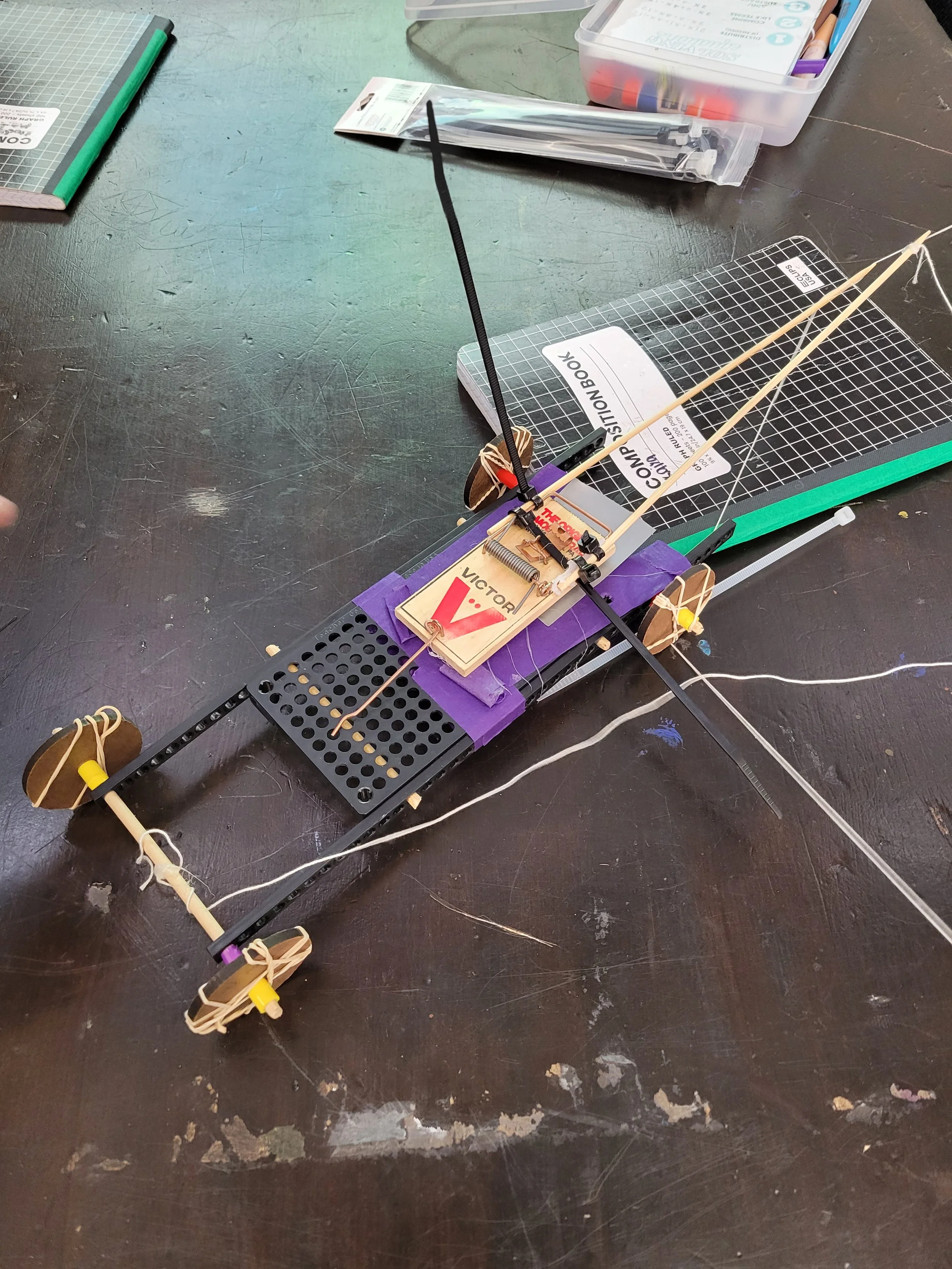 20260310_094557.jpg