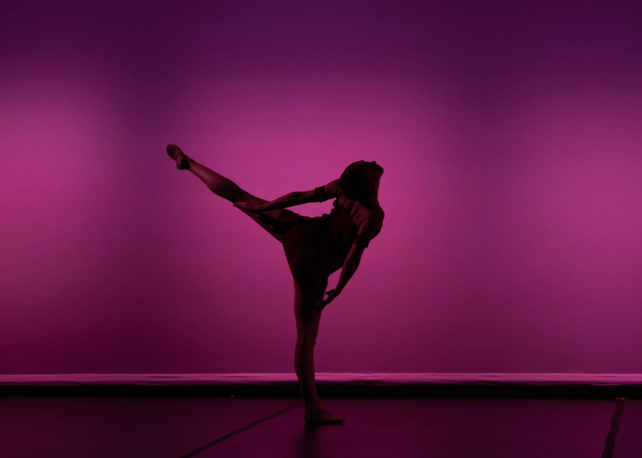 Unbound Ballet Project. Charleston, South Carolina. Nonprofit Dance Company.