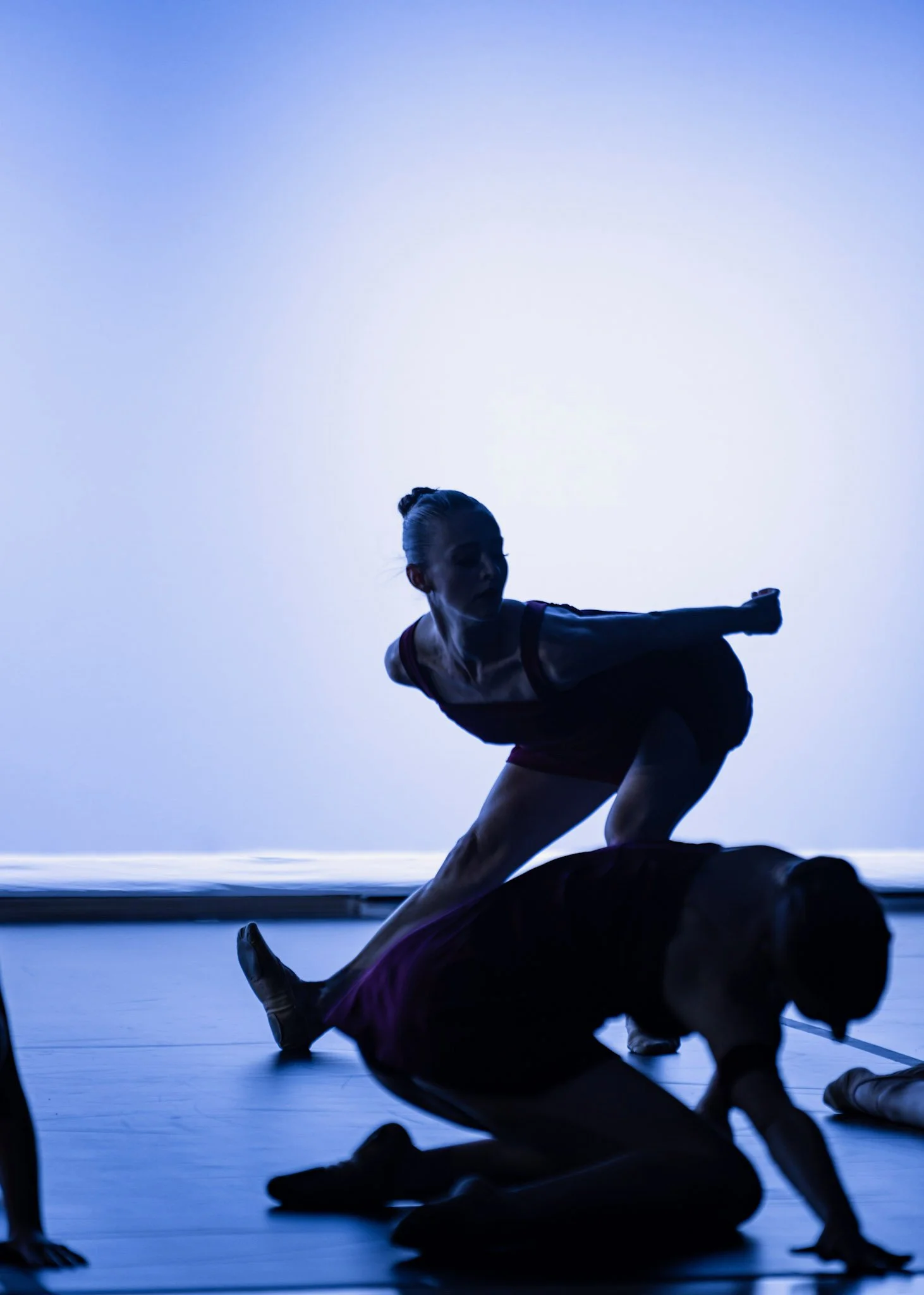 Unbound Ballet Project. Charleston, South Carolina. Nonprofit Dance Company.