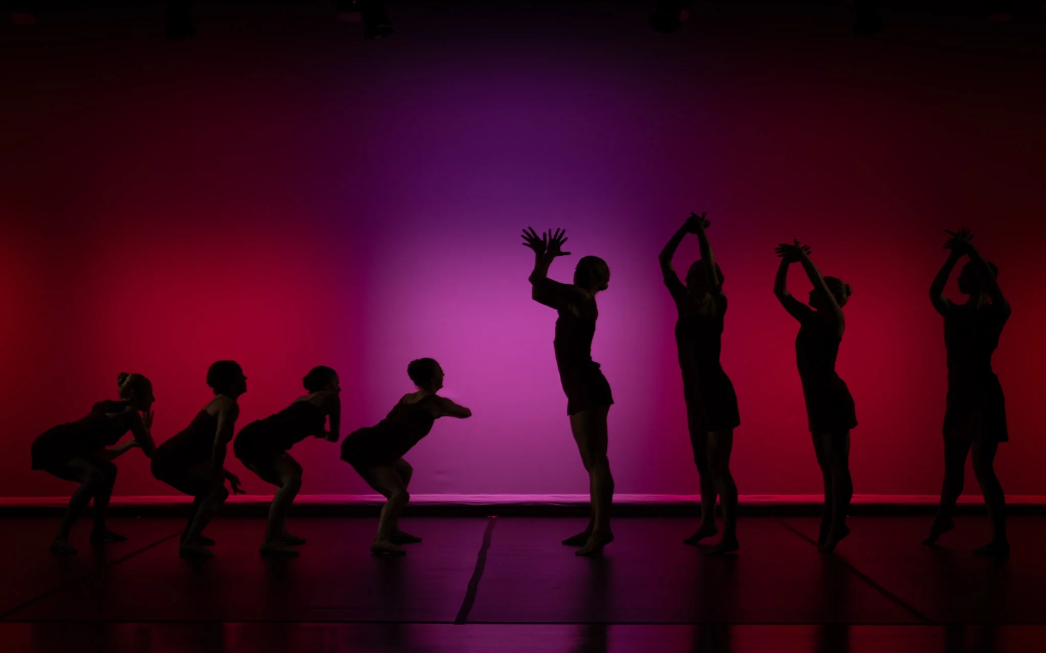 Unbound Ballet Project. Charleston, South Carolina. Nonprofit Dance Company.