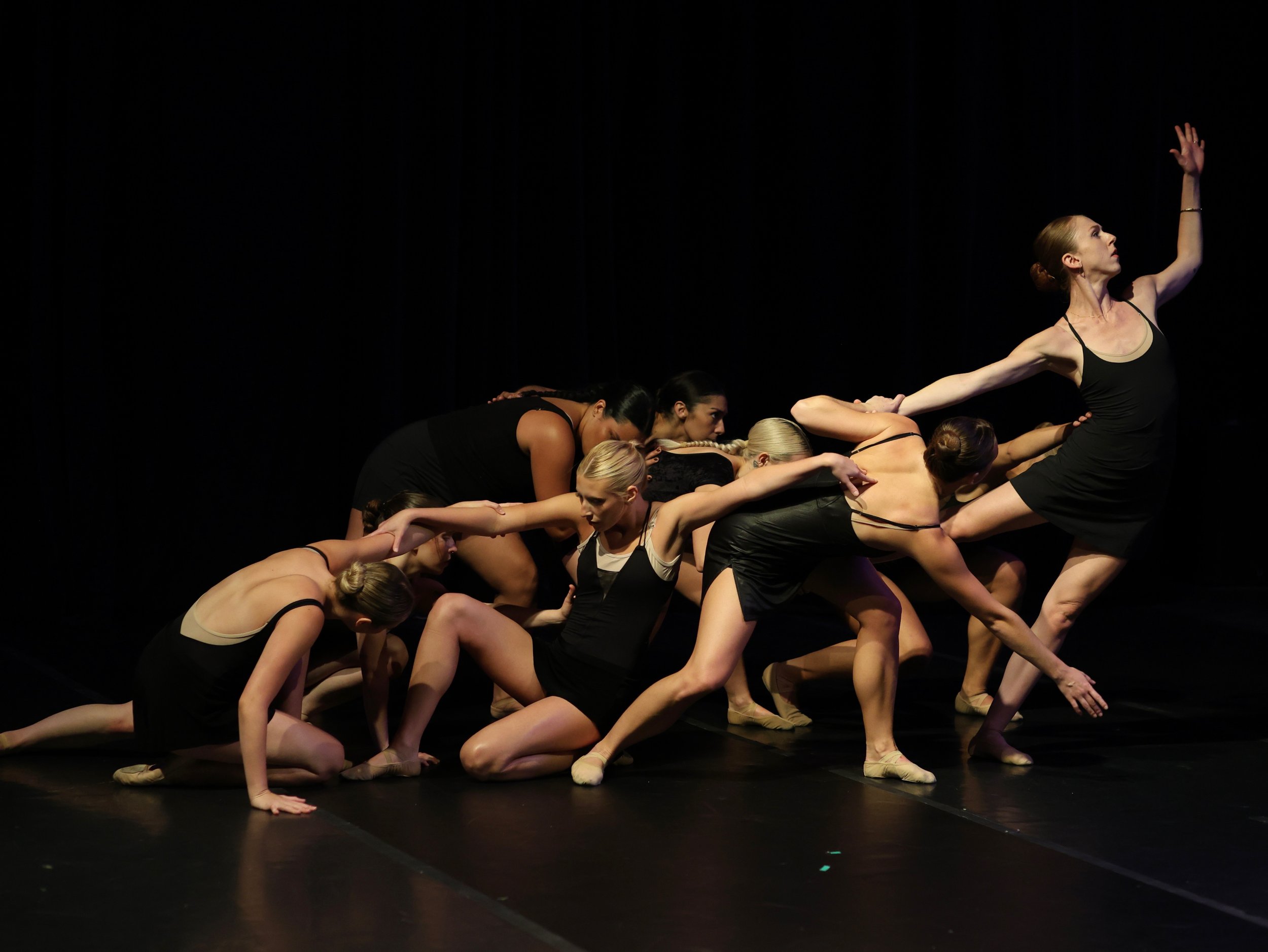 Unbound Ballet Project. Charleston, South Carolina. Nonprofit Dance Company. 