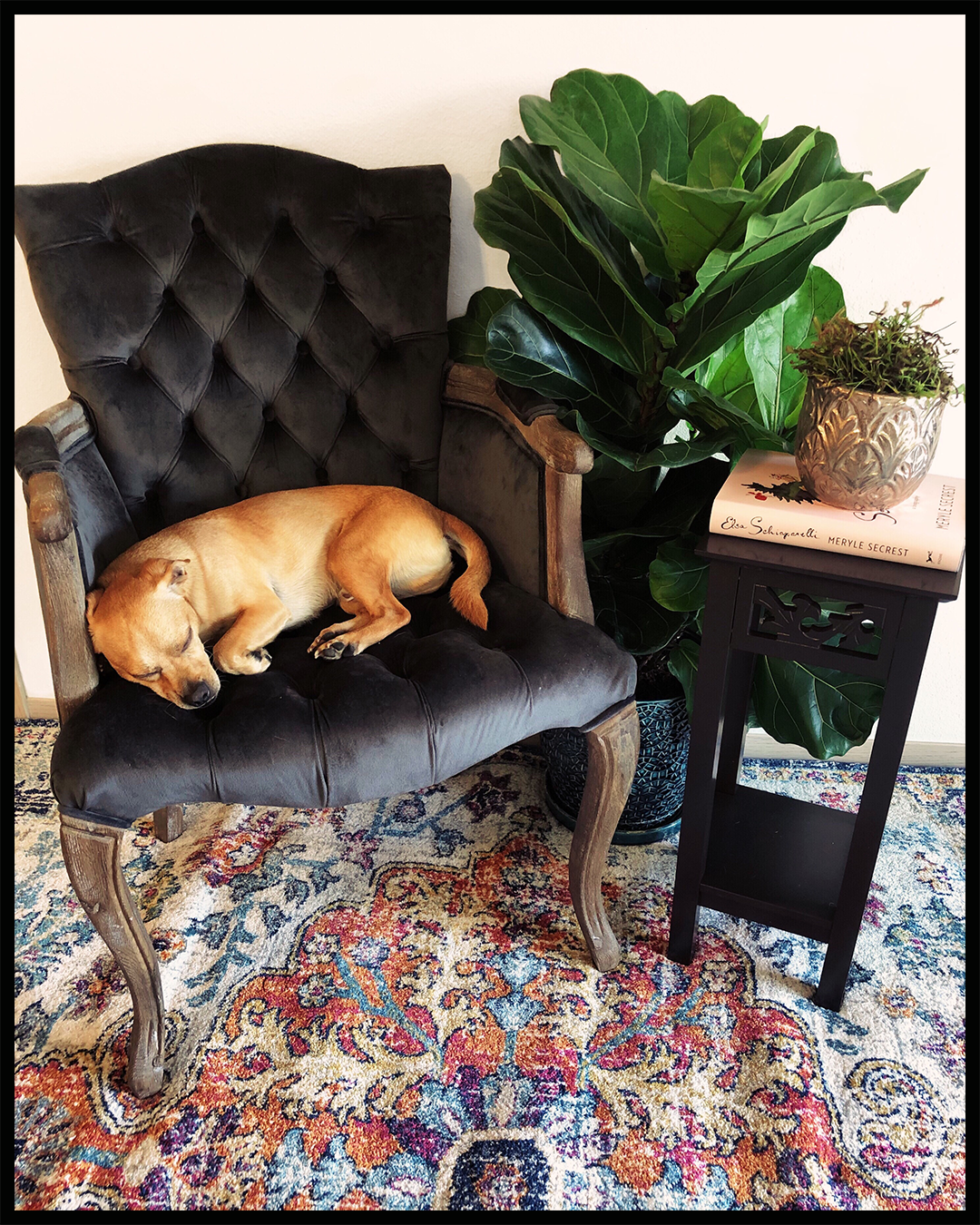 Statement_Chair.png
