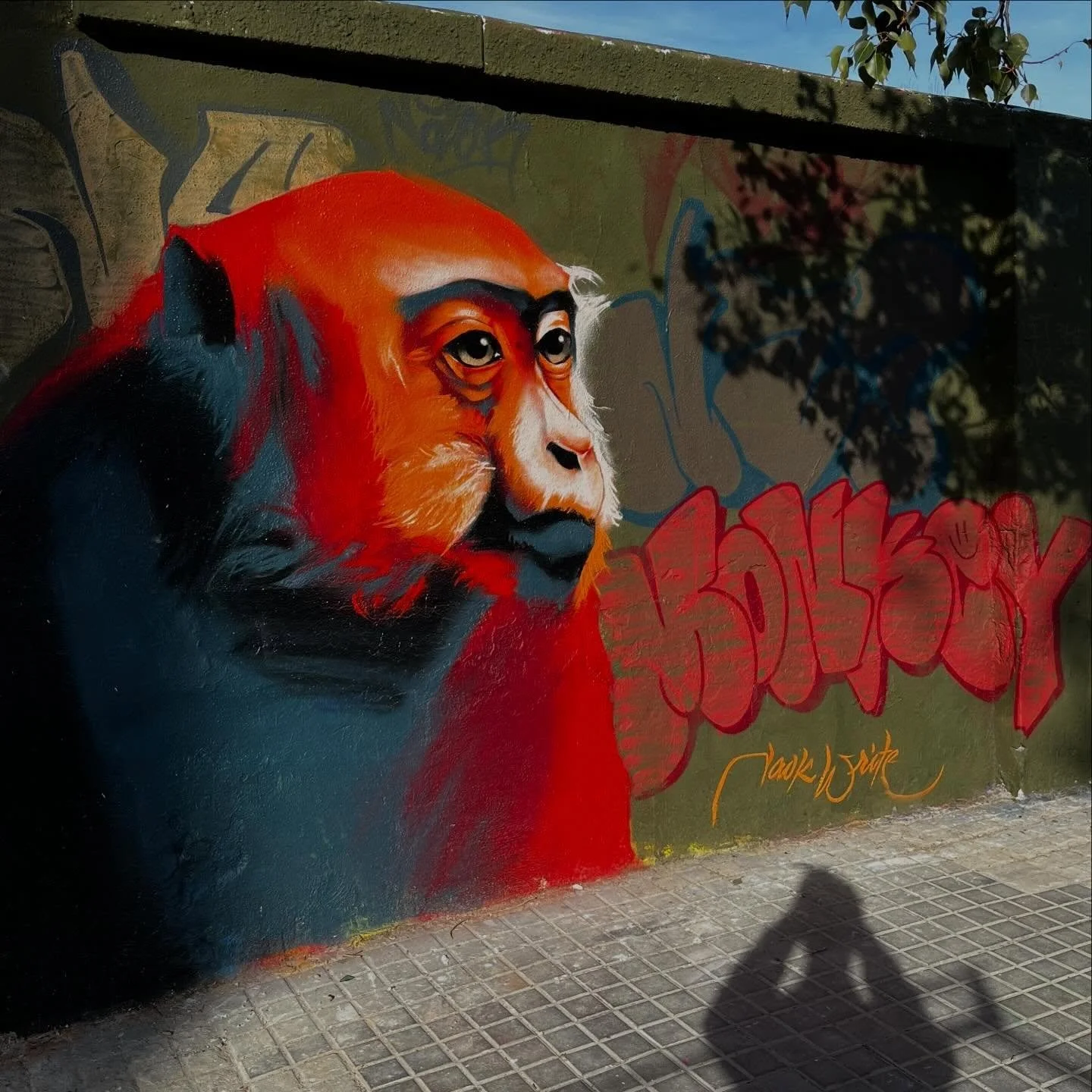 #streetart #barcelonastreetart #barcelonastreetstyletour #streetarttourbarcelona #barcelonastreetarttour