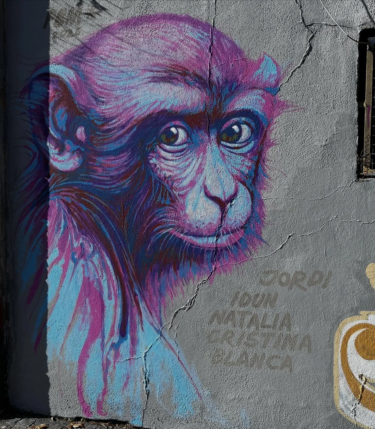 @pereblancomolina #streetart #barcelonastreetart #barcelonastreetstyletour #streetarttourbarcelona #barcelonastreetarttour