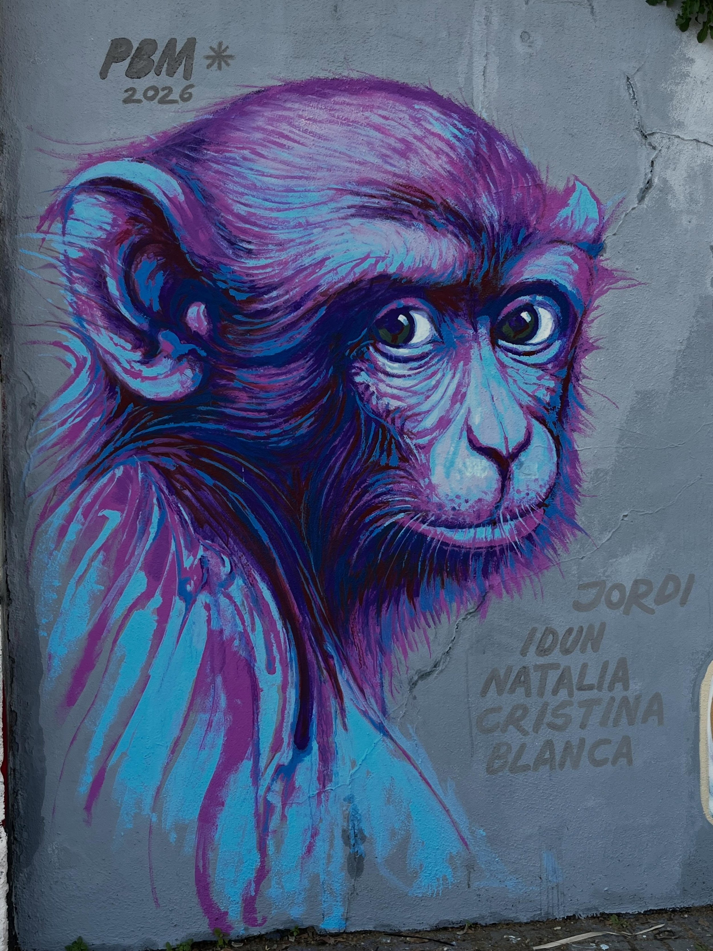 @pereblancomolina #streetart #barcelonastreetart #barcelonastreetstyletour #streetarttourbarcelona #barcelonastreetarttour