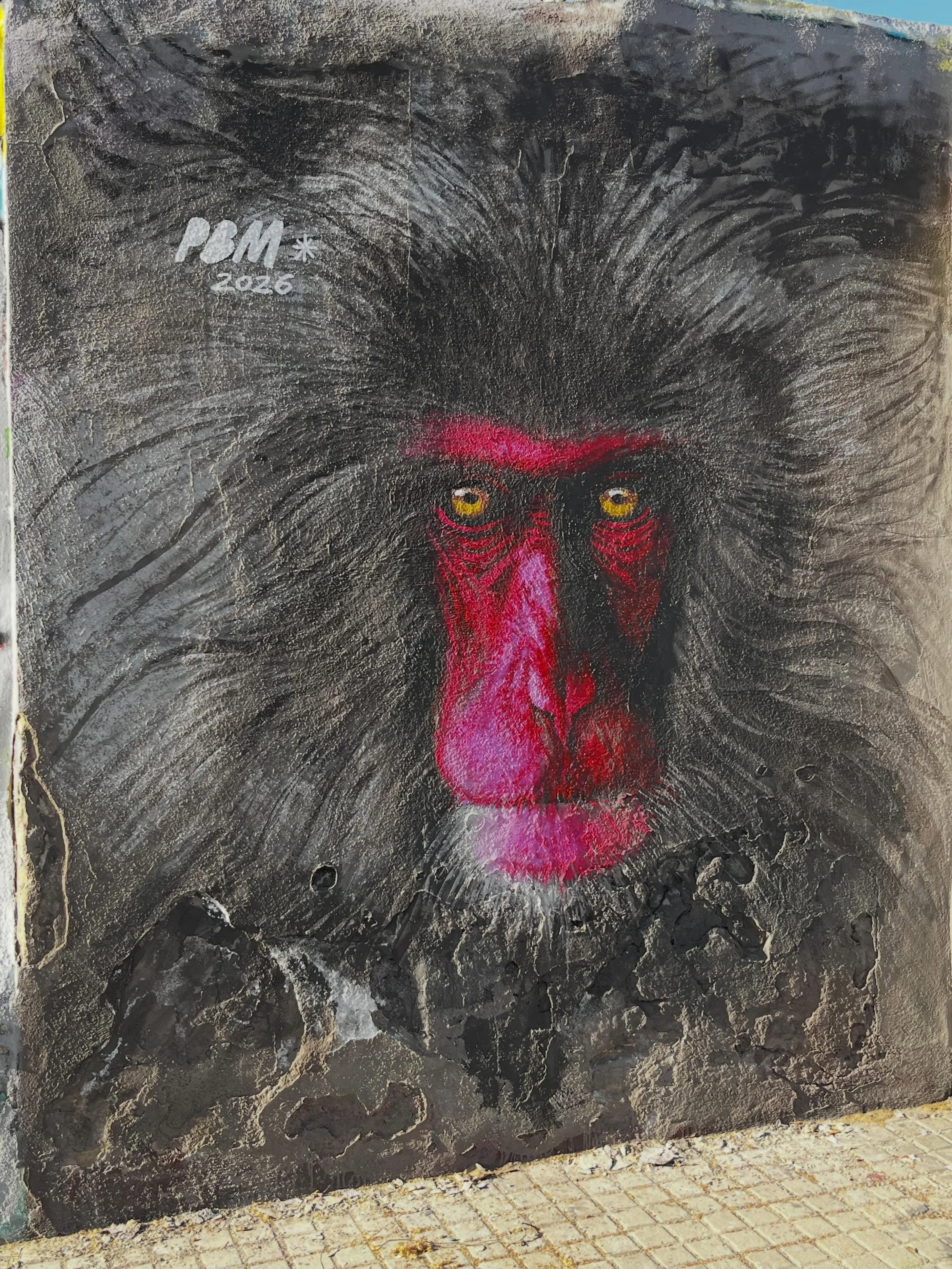 @pereblancomolina #streetart #barcelonastreetart #barcelonastreetstyletour #streetarttourbarcelona #barcelonastreetarttour
