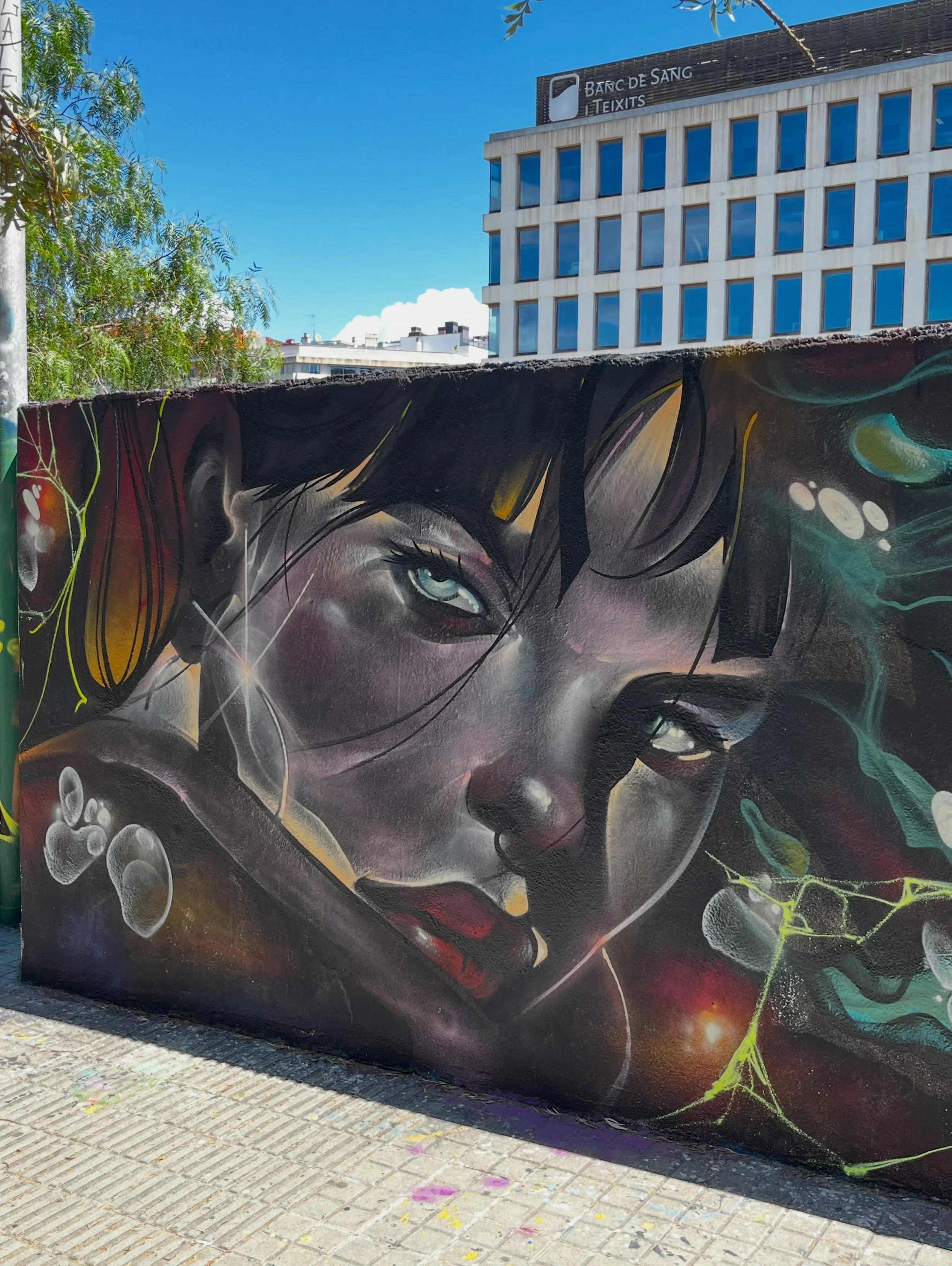 #streetart #barcelonastreetart #barcelonastreetstyletour #streetarttourbarcelona #barcelonastreetarttour