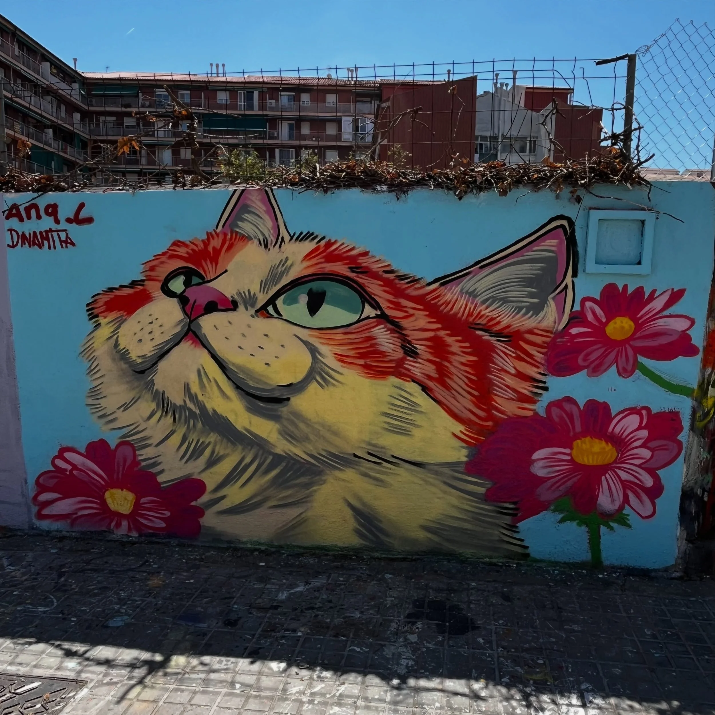 @srta.dinamita #streetart #barcelonastreetart #barcelonastreetstyletour #streetarttourbarcelona #barcelonastreetarttour