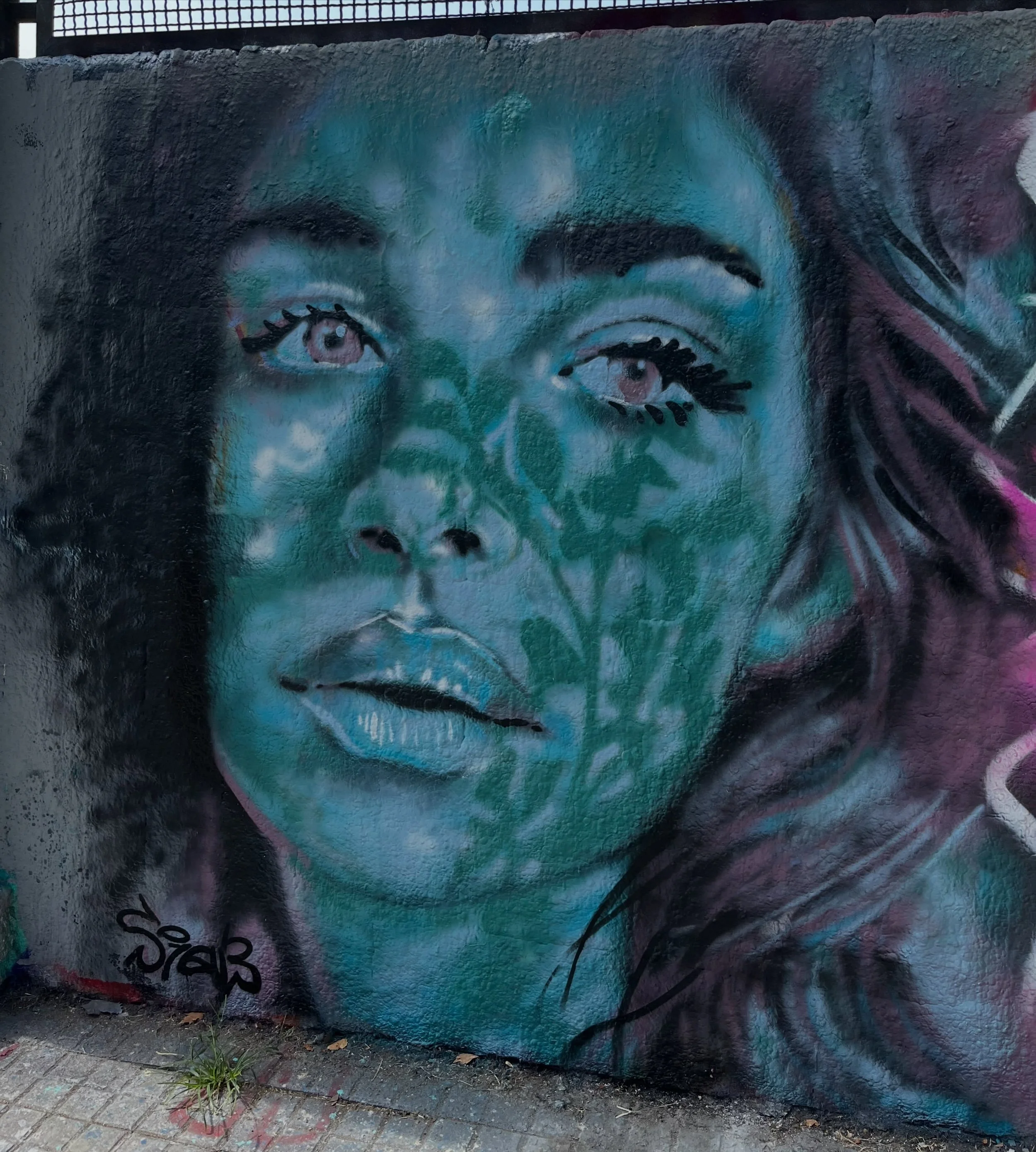 #streetart #barcelonastreetart #barcelonastreetstyletour #streetarttourbarcelona #barcelonastreetarttour