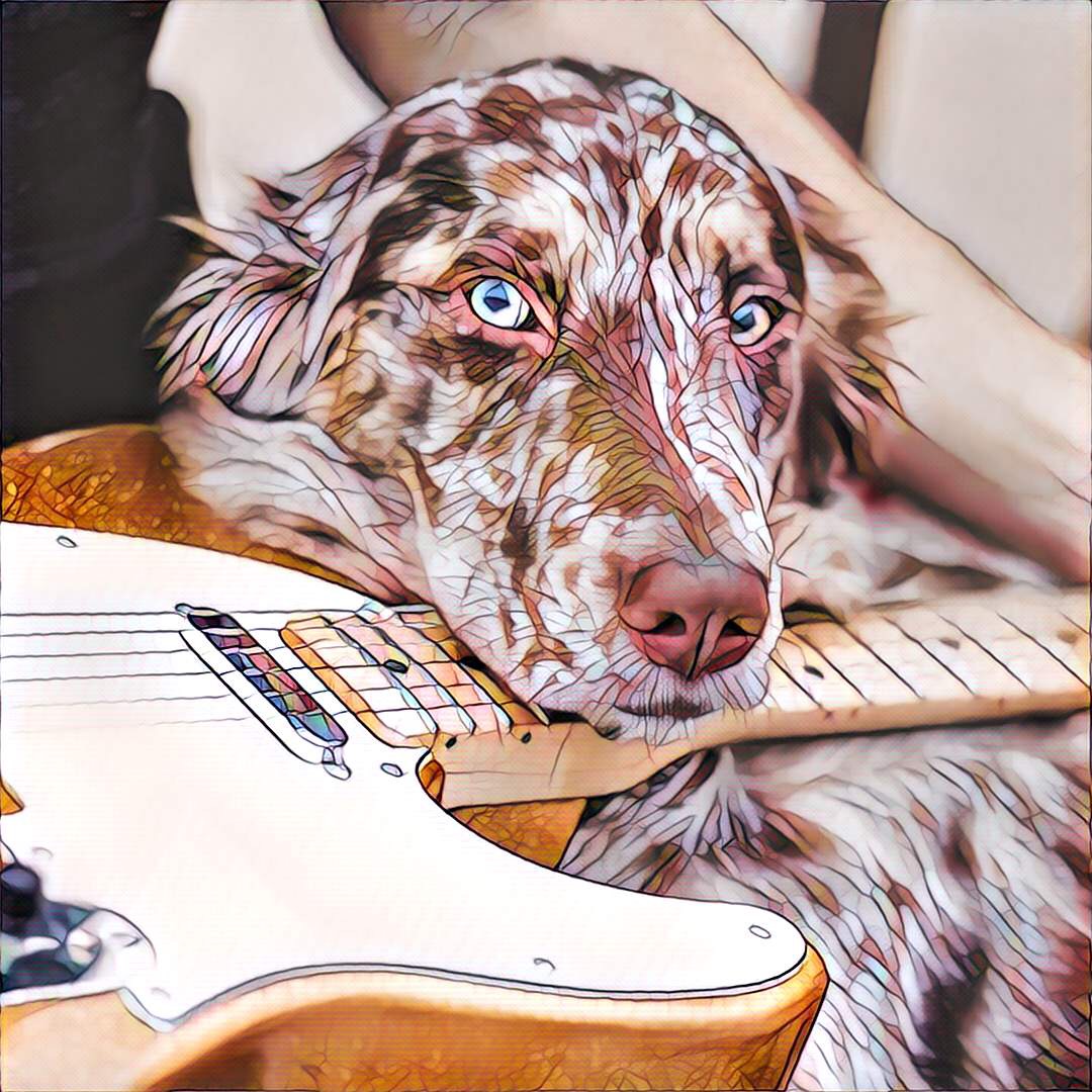 Nala