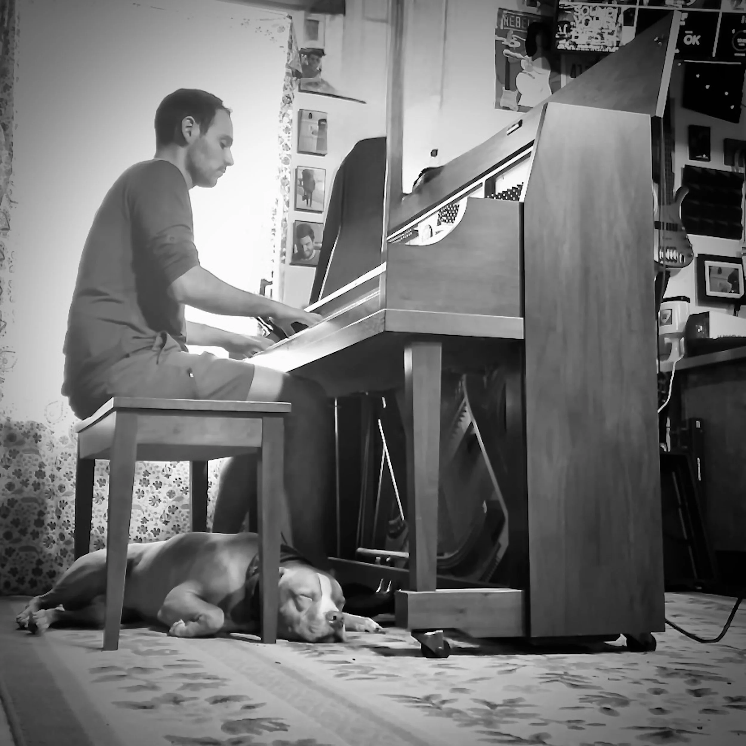 Joey Fishbein - Take It How You Please (Album).jpeg