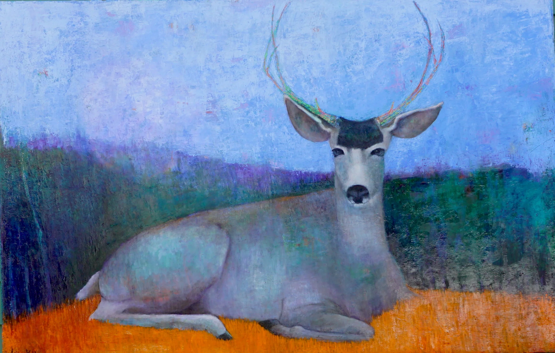 Buck