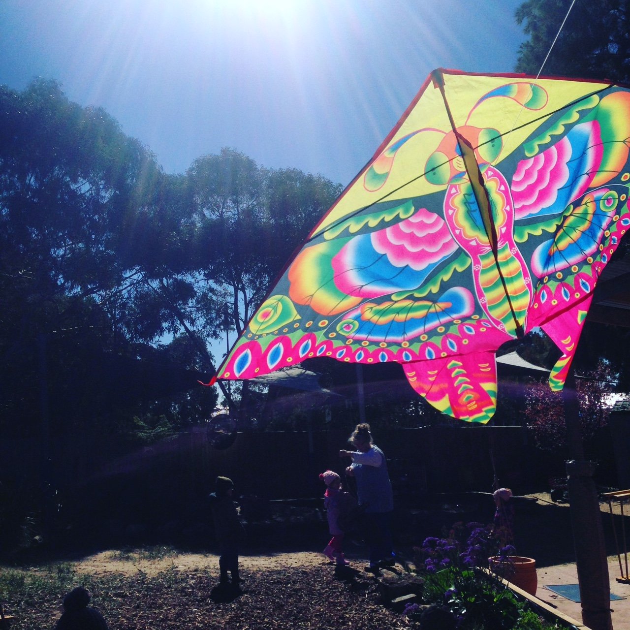 2  brilliant butterfly kite.JPG