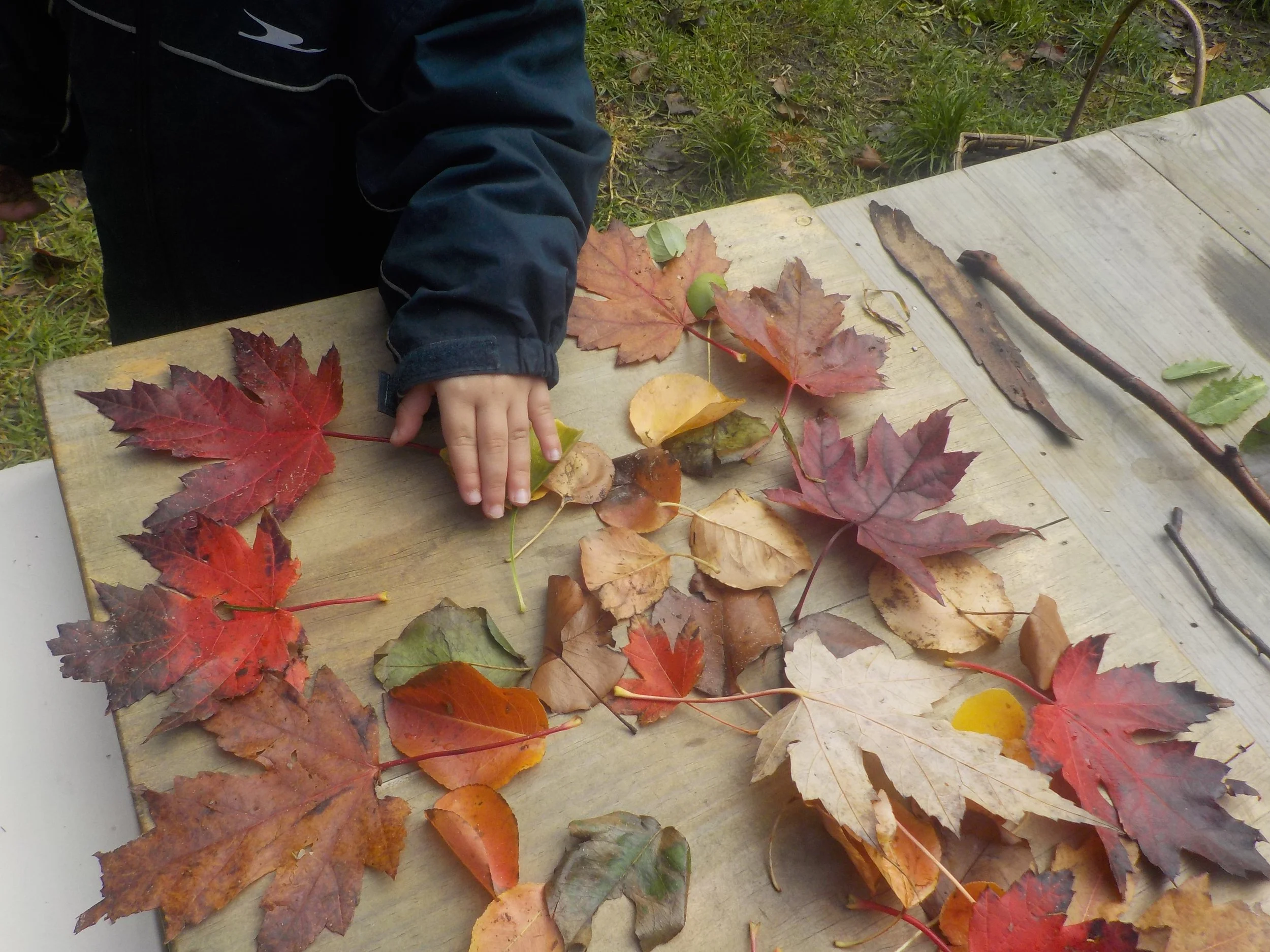 T 2   2023 (146).JPG