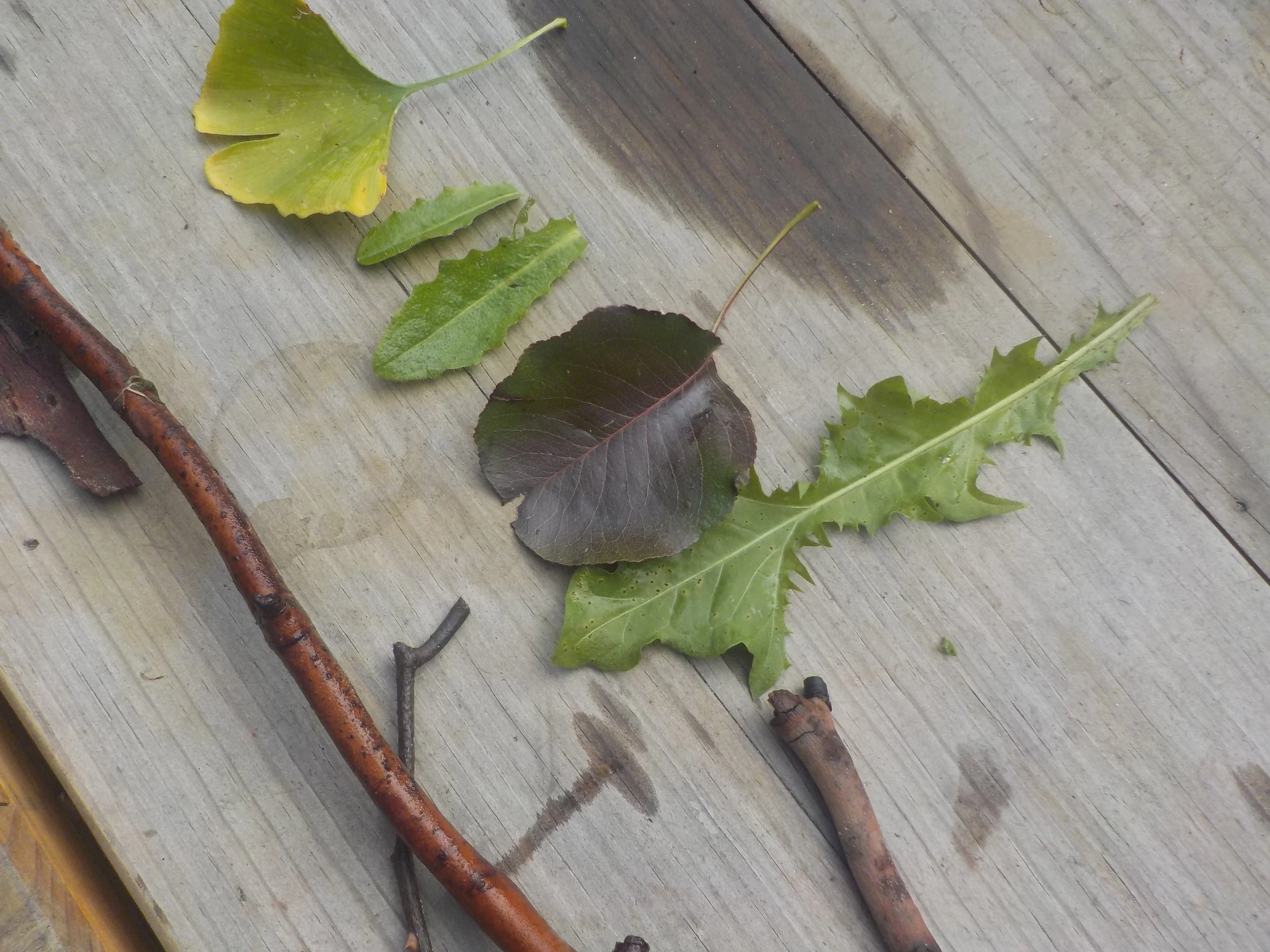 T 2   2023 (145).JPG