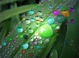 raindrop_therapy_colored_rain_drops_large.jpeg