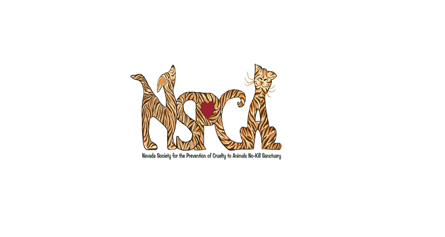 spca.jpg