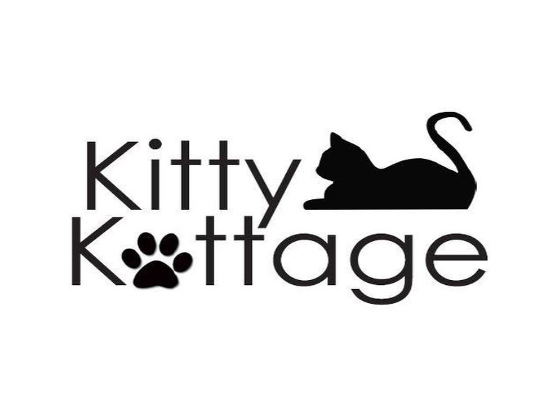 kitty.jpg