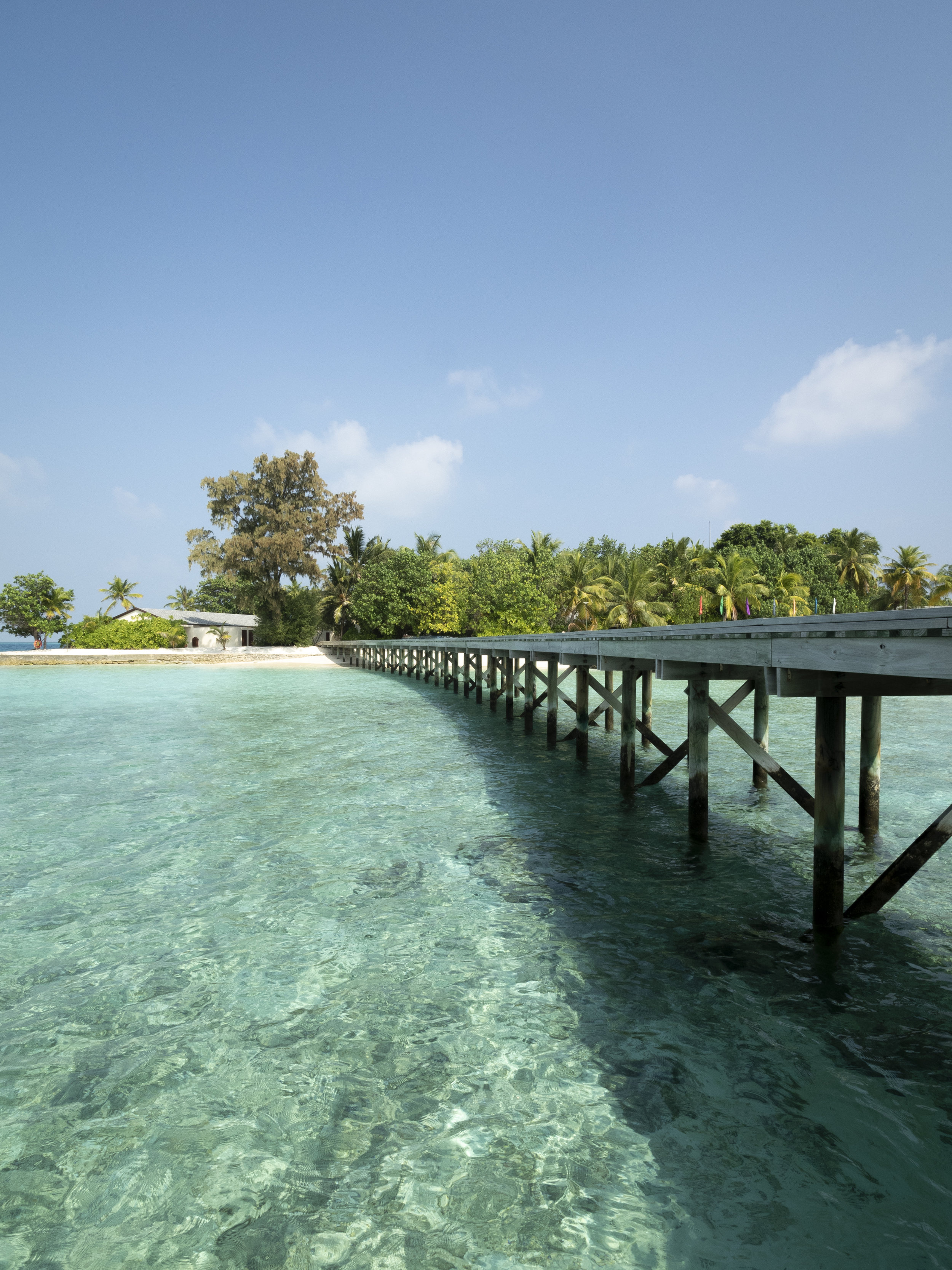 181115_Maldives_016.jpg