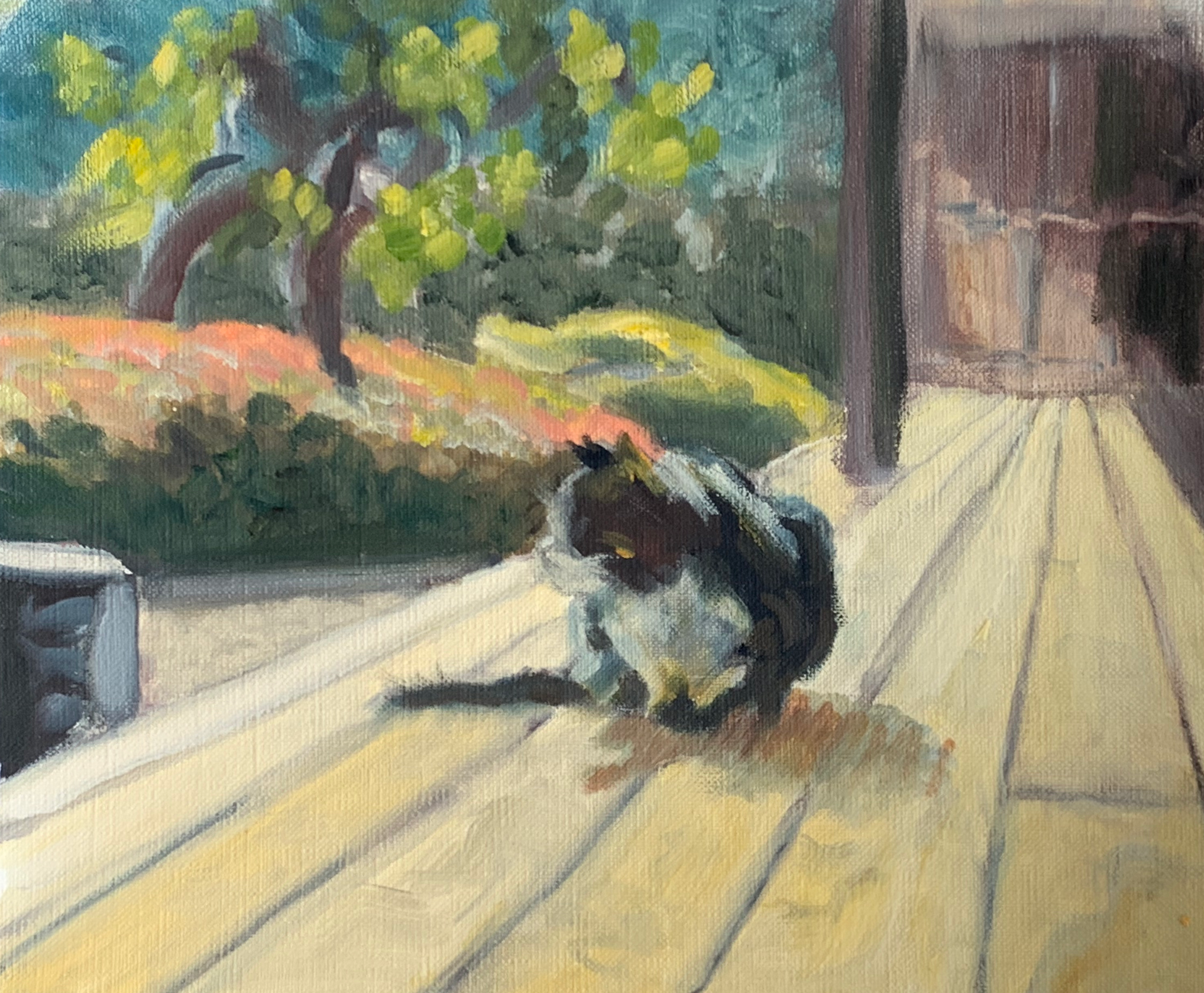 Cat at Zendo, Japan