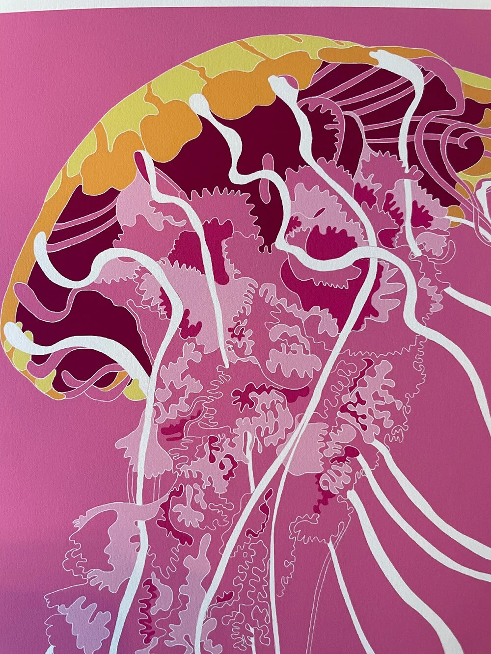 jellyfish3-sml.jpg