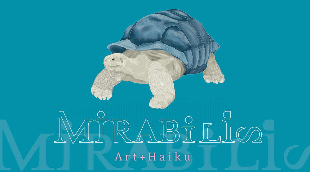 mirabilis NFT collection