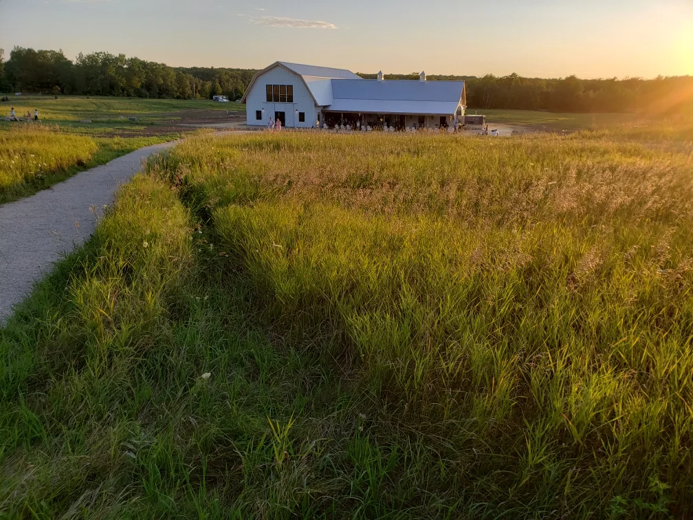  [PHOTO] The lush field outside Northern Haus glows in the setting sun 