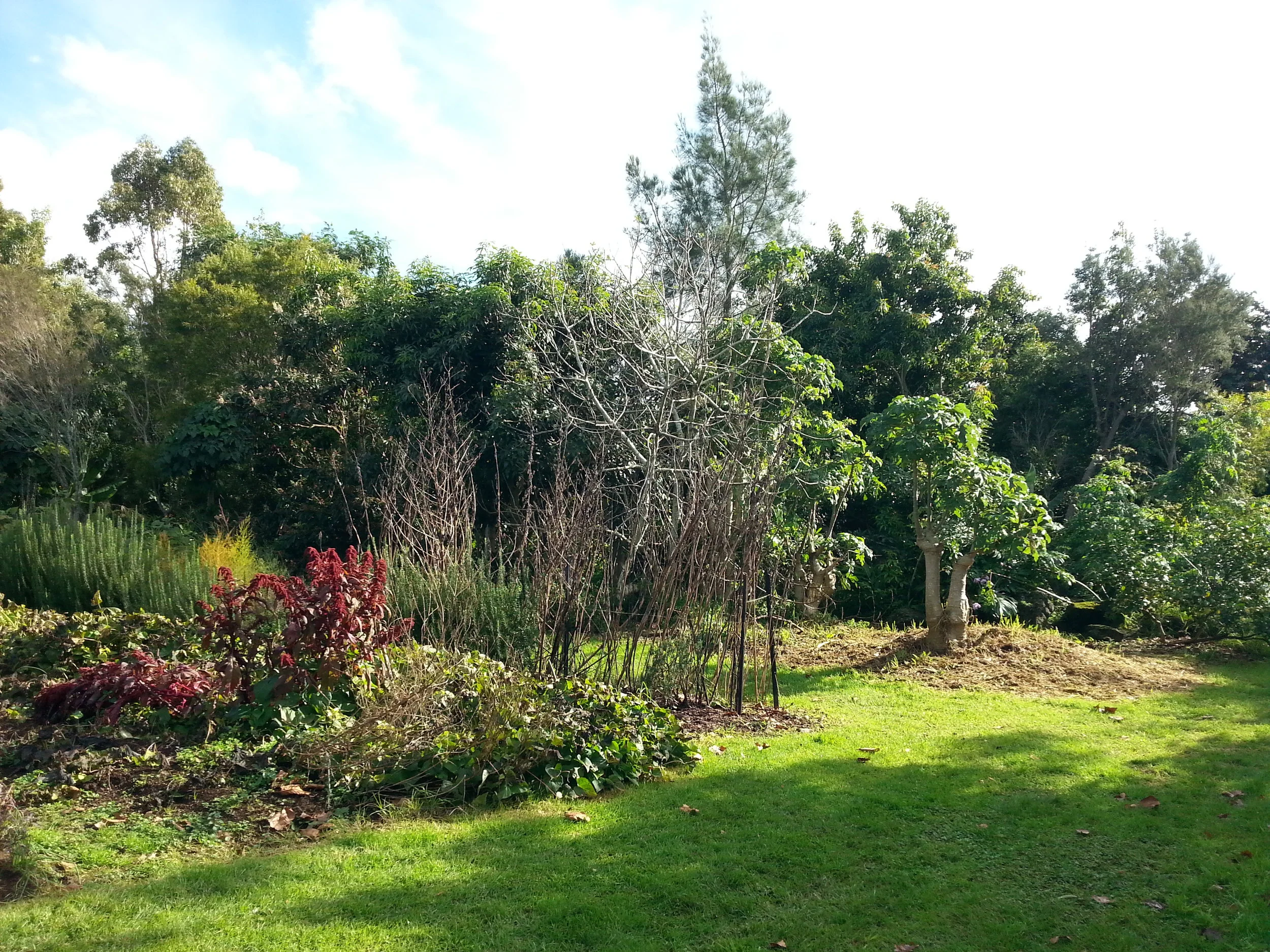 2015-05-30 13.19.02.jpg