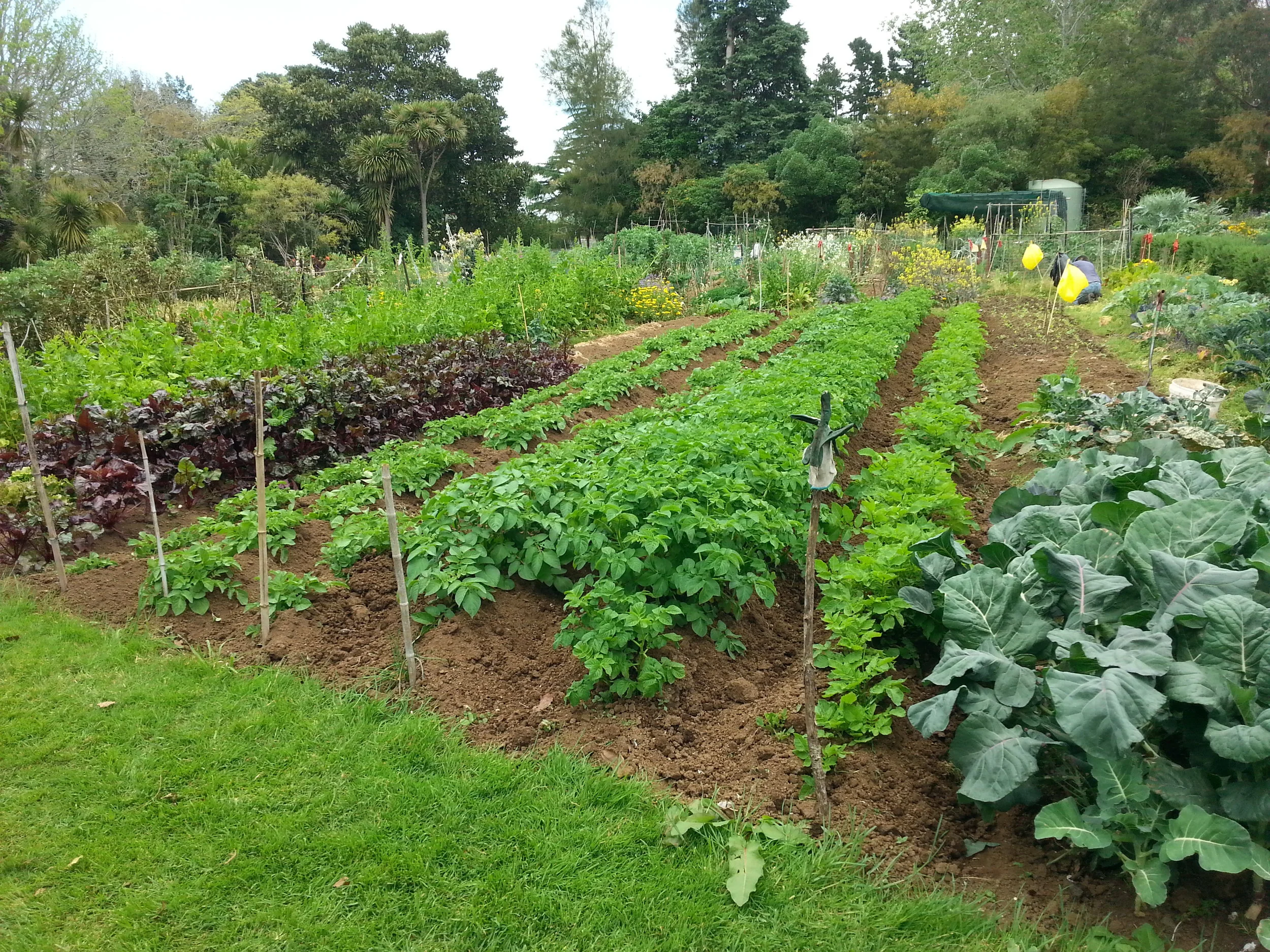 the gardens in spring