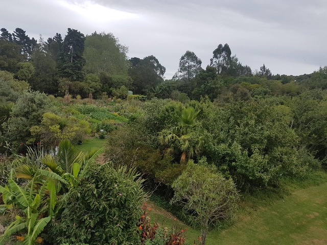 Feb cultivated and food forest areas of the Sanctuary _ Mahi Whenua .jpeg