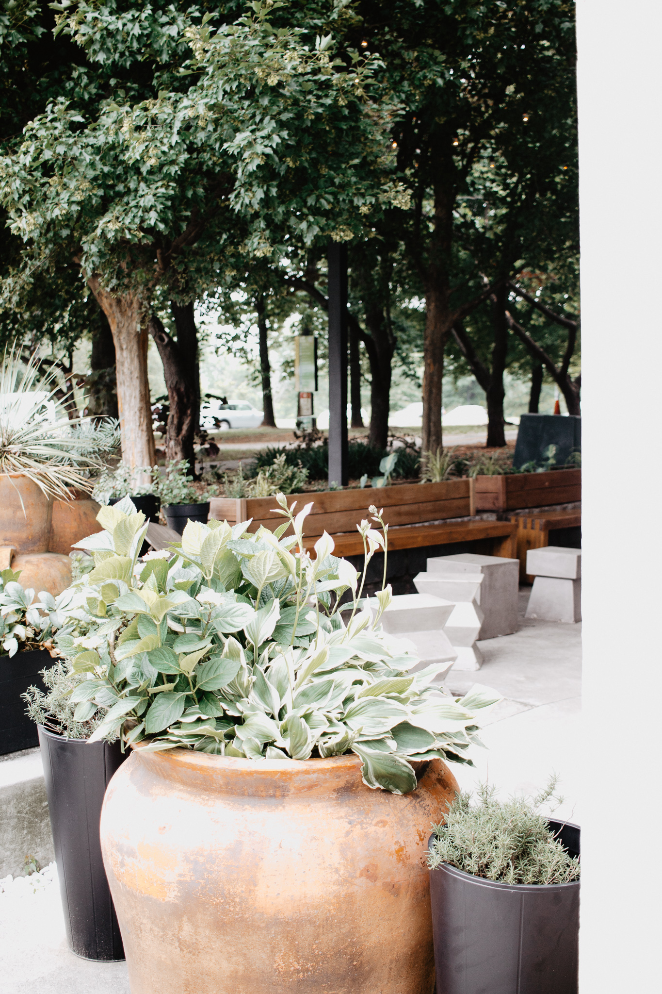 Atlanta Travel Guide | Catherine Milliron Photography