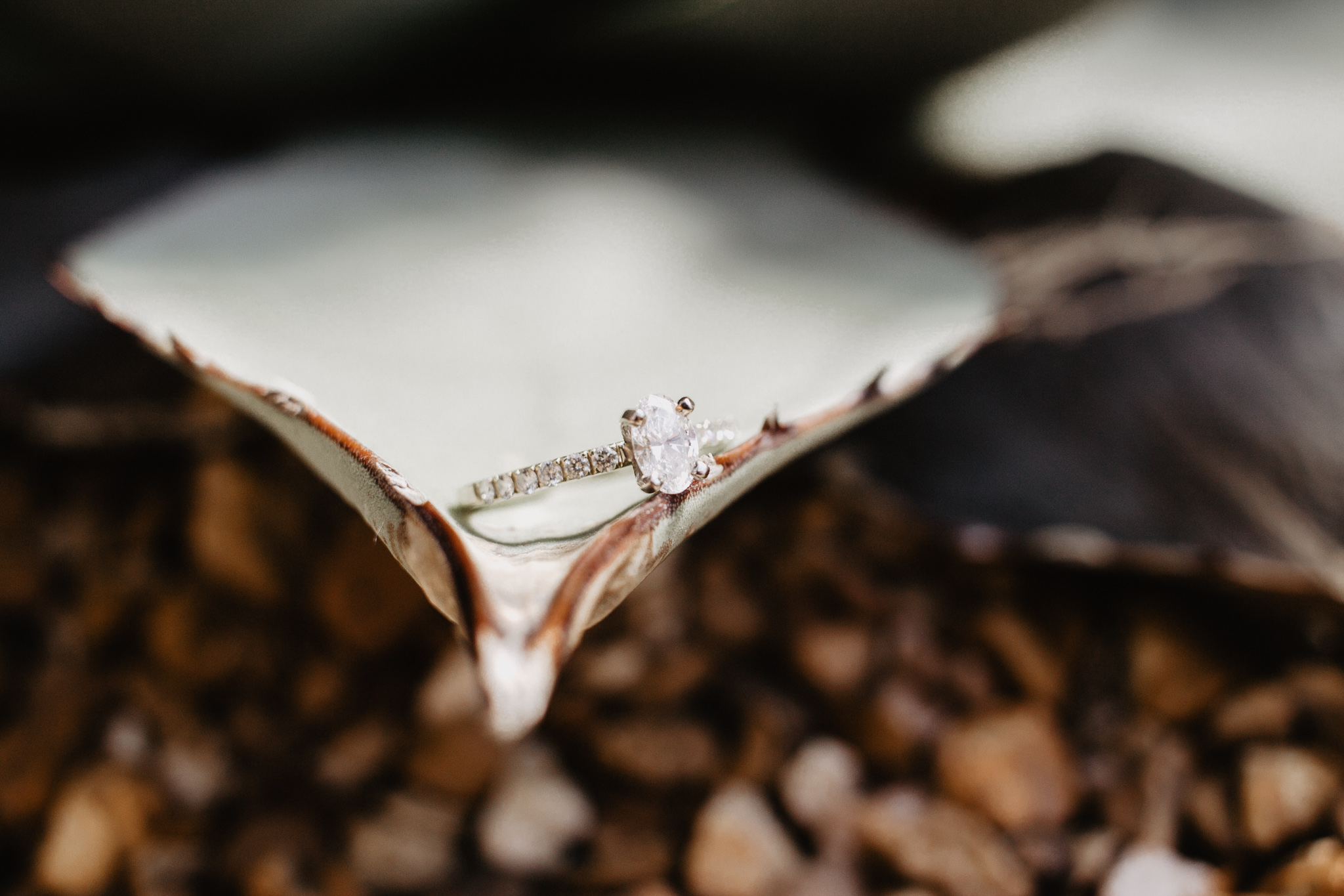 Columbus Franklin Park Engagement Session | Ohio Engagement + Wedding Photographer | Catherine Milliron Photography