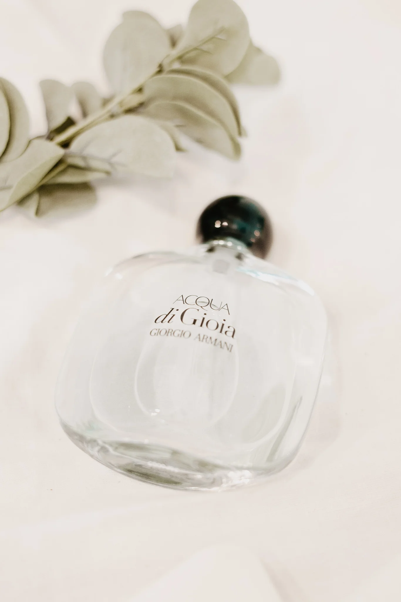 Heather + Javier | Navy and Gold Dallas Texas Discovery Gardens Botanical Wedding | Columbus and Dallas Wedding + Engagement Photographer | Catherine Milliron Photography