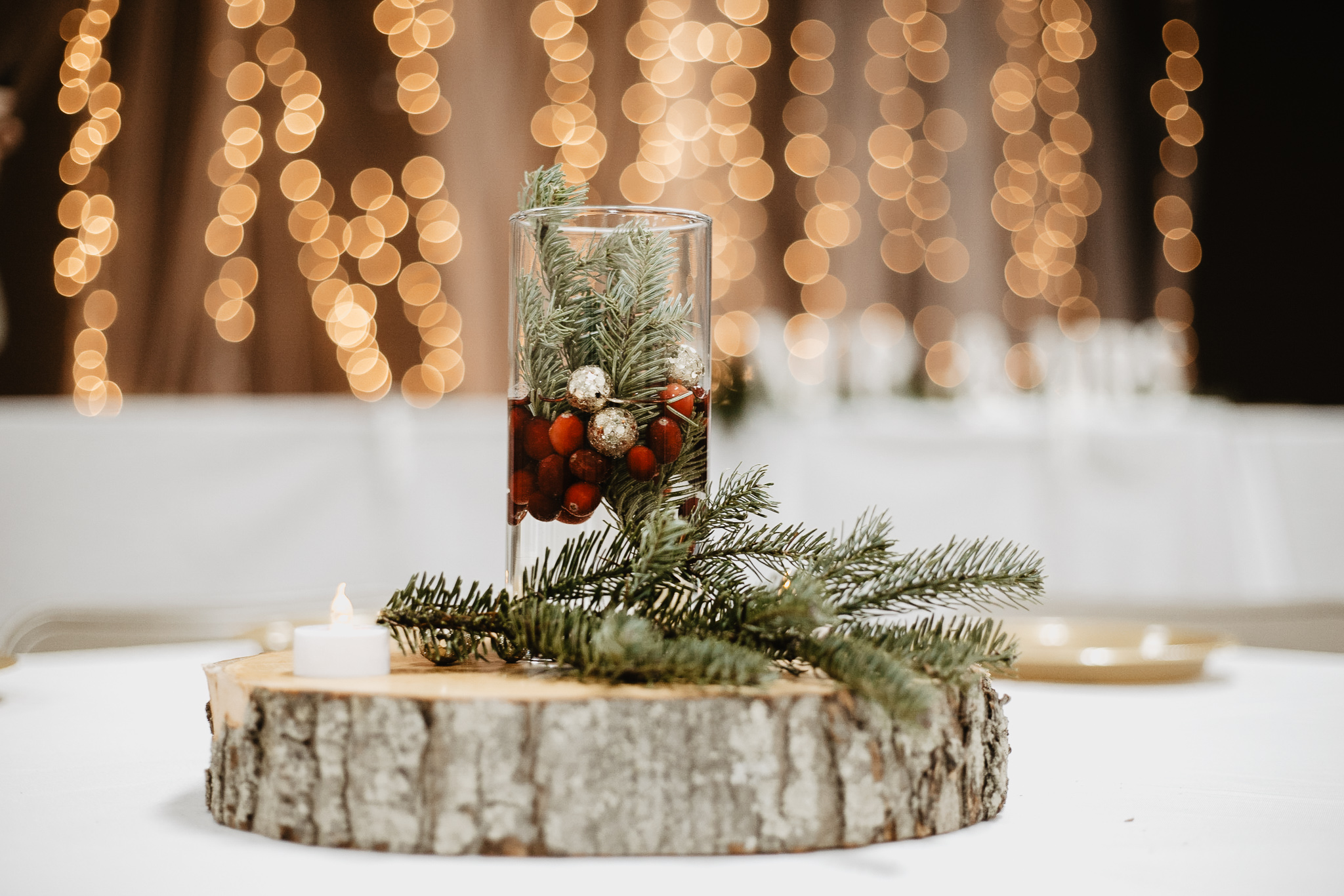 Megan + Jay | Cranberry and Gold Christmas Michigan Wedding | Ohio Wedding + Engagement Photographer | Catherine Milliron Photography