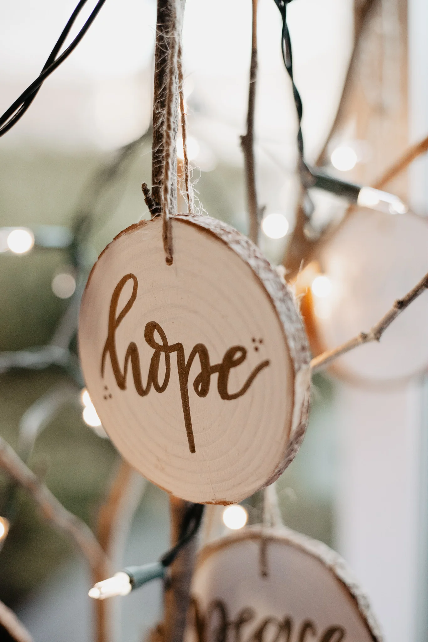 Megan + Jay | Cranberry and Gold Christmas Michigan Wedding | Ohio Wedding + Engagement Photographer | Catherine Milliron Photography