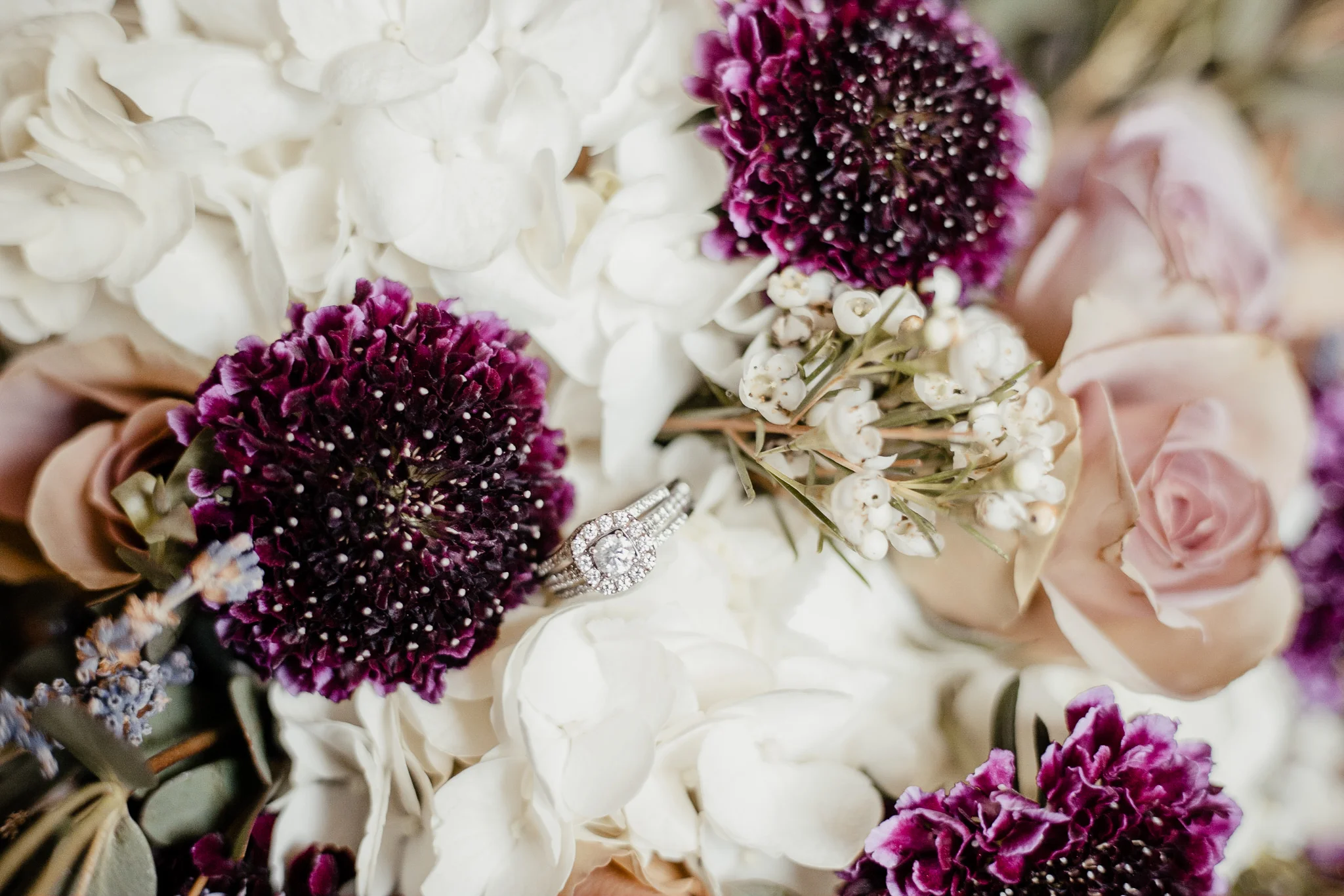 Hannah + Mike | Chianti and Navy Columbus Wedding at Little Brooke Meadow | Catherine Milliron Photography | Ohio Wedding + Engagement Photographer