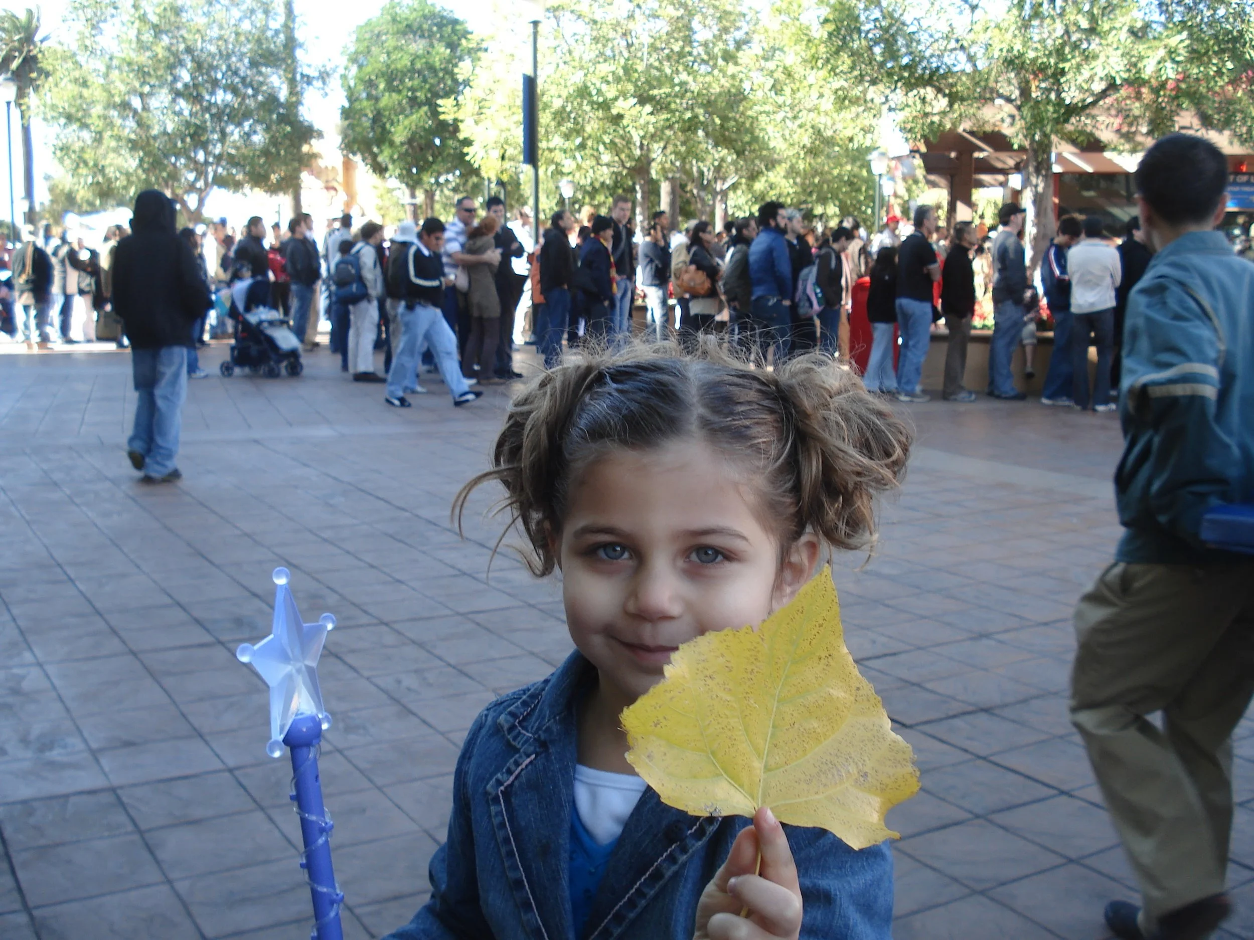 DSC06114.jpg