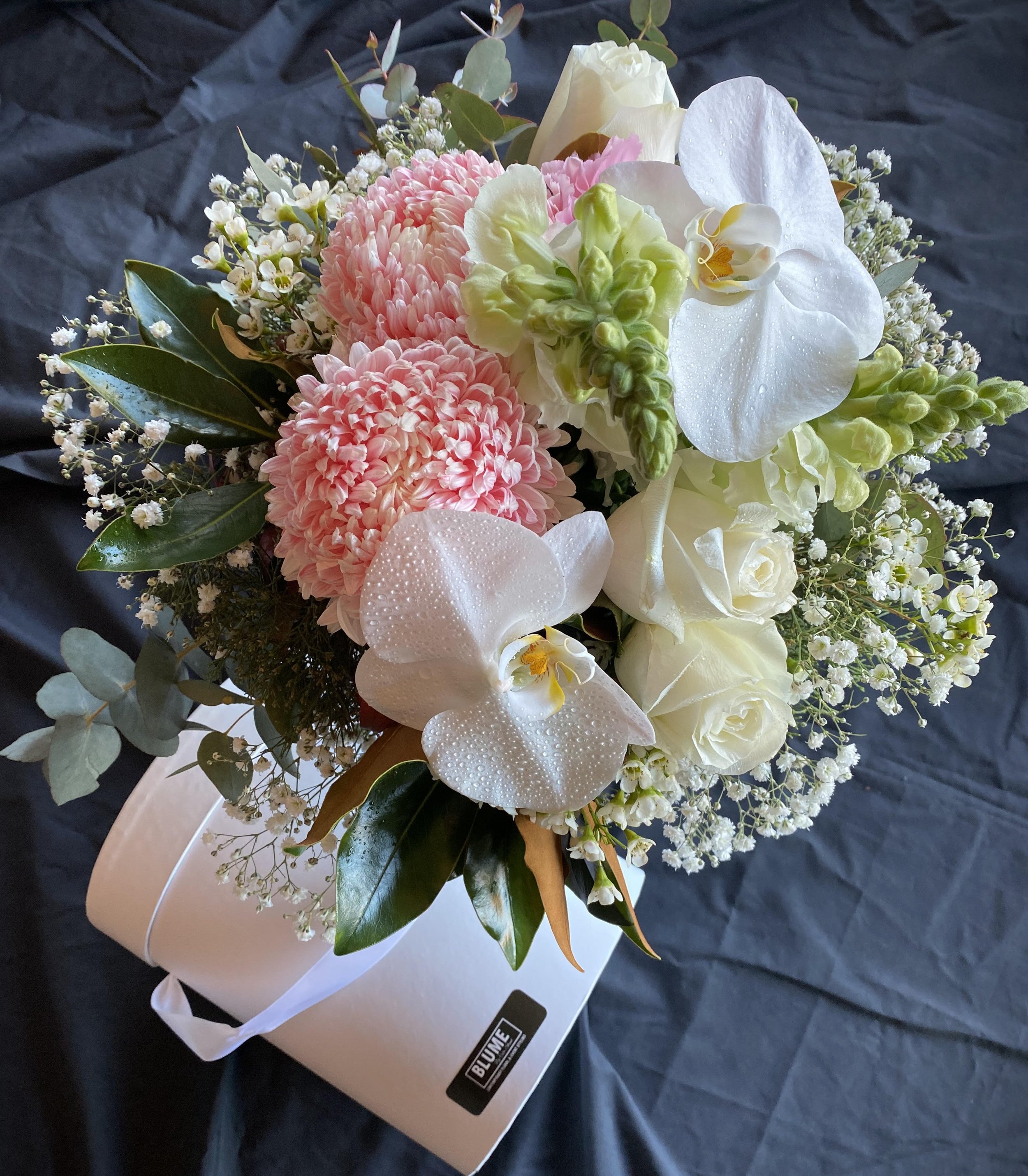 pastel hatbox darker background.jpg