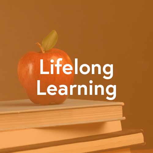 Lifelong Learning